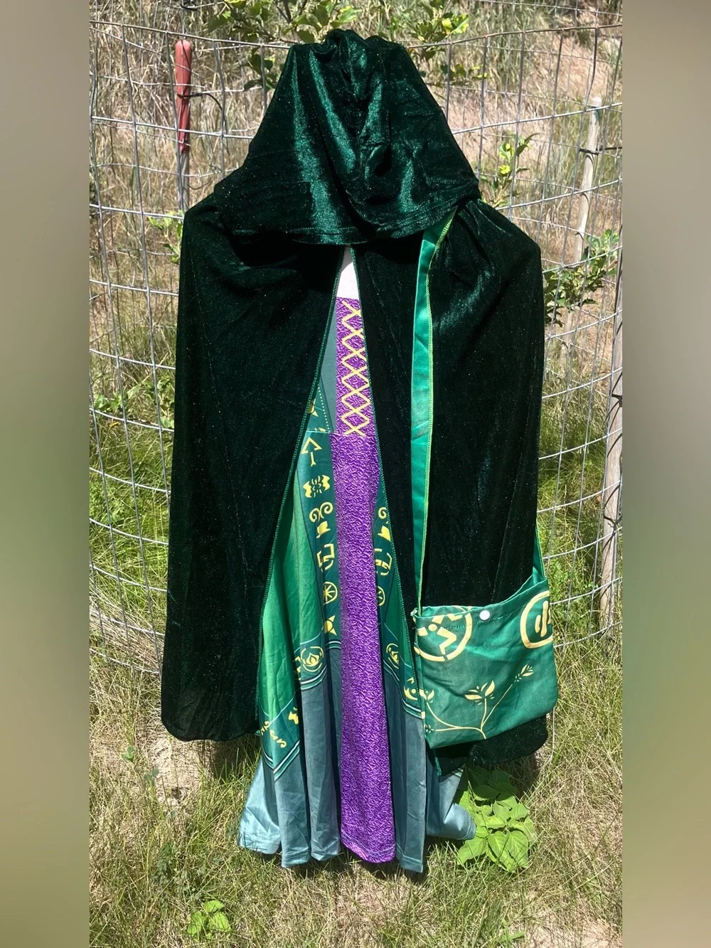 Hocus Pocus Winifred Sanderson Costume